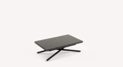 Table extensible LOTUS
